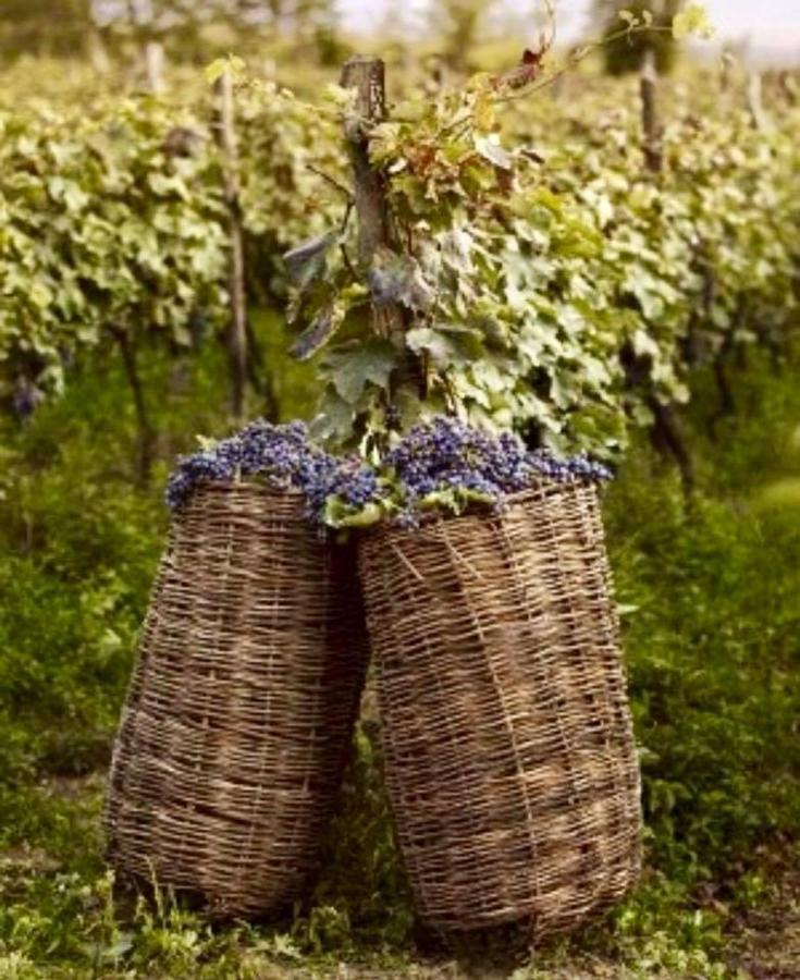Hotel Tela & Mareli Winery Телави Экстерьер фото